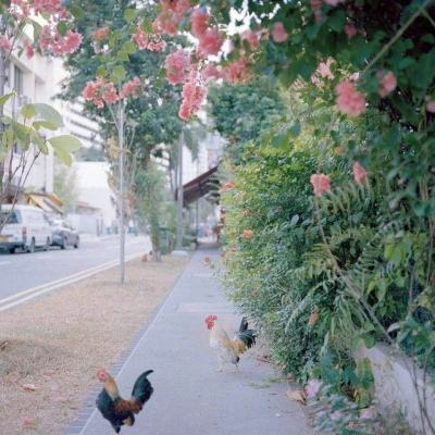 芒果斗地主赢话费下载九游版