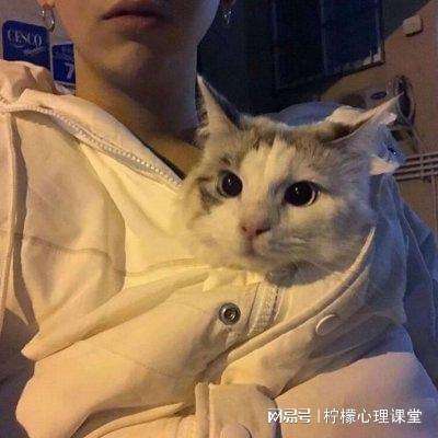 困兽之战异兽崛起手游